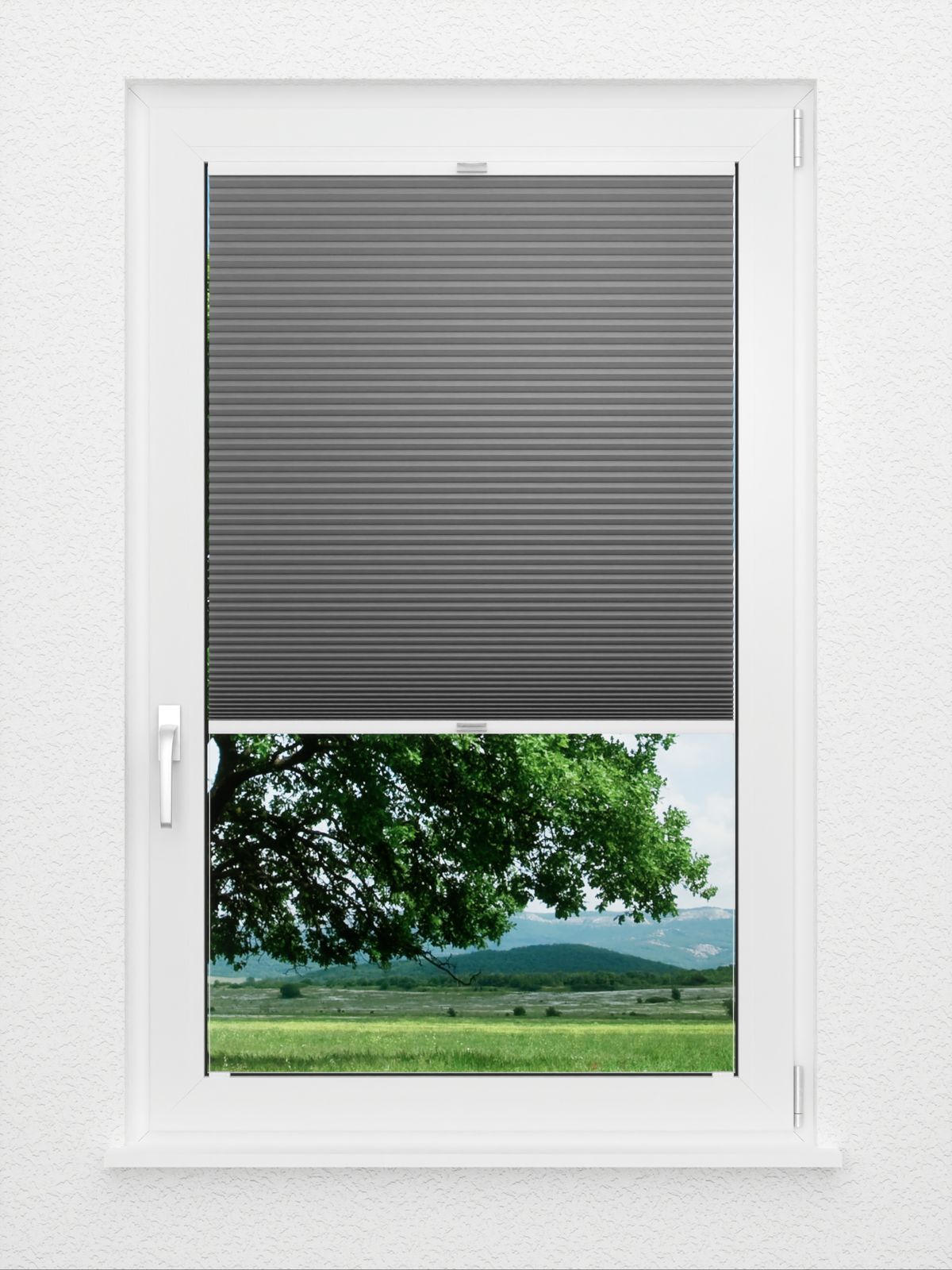 Detailansicht Honeycomb Balto 1.360.96