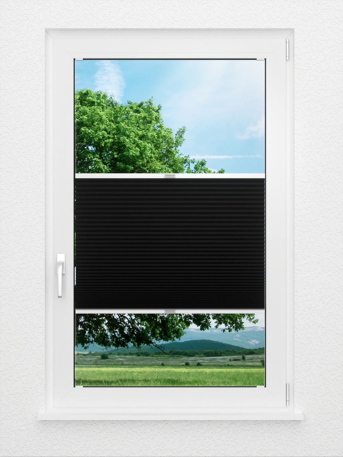 Detailansicht Honeycomb Balto 1.361.06