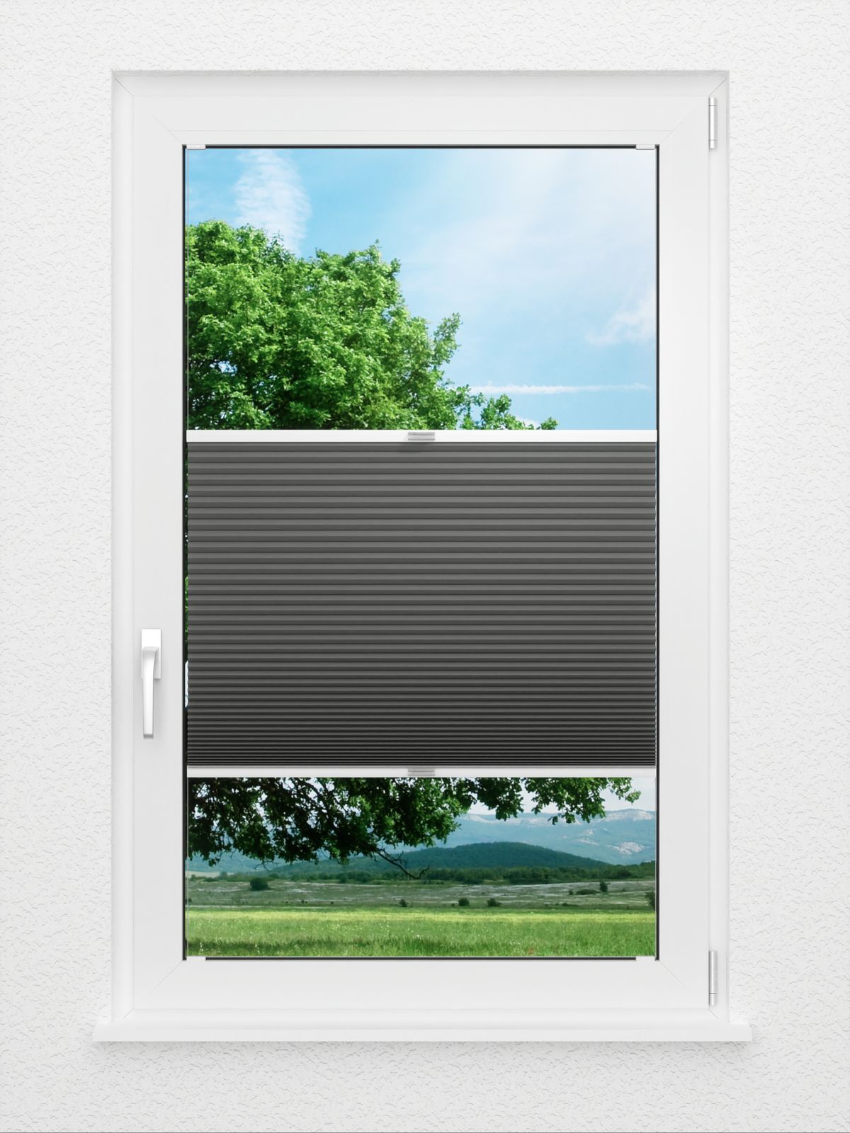 Detailansicht Honeycomb Balto 1.361.16