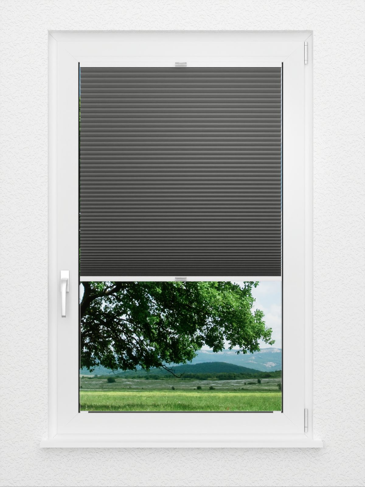 Detailansicht Honeycomb Balto 1.361.16