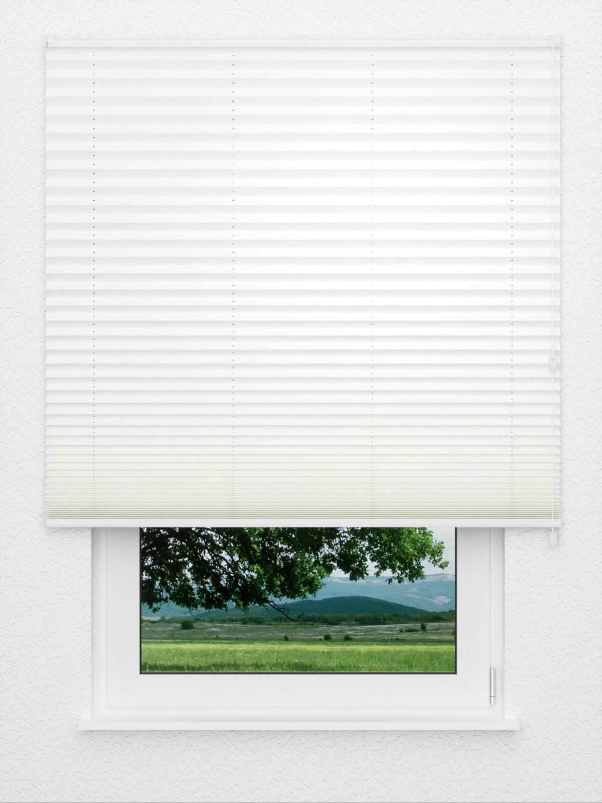 Detailansicht Structure Light 1.162.06