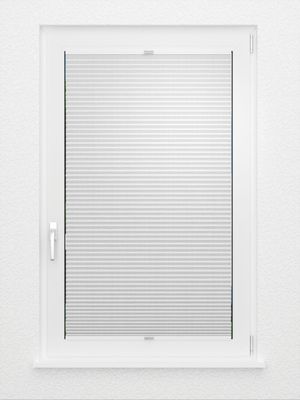 Preview Estus 4.505.49 2