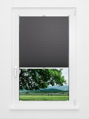 Preview Honeycomb 2.891.27 1