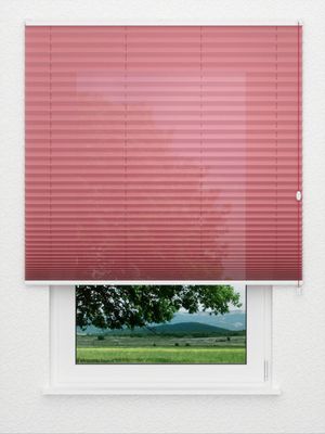 Preview Baya Color 2.328.07 3