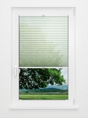 Preview Lina 2.504.07 1