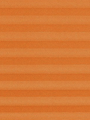 Preview Colour Life 1.020.16 4