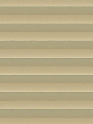 Preview Coolaris Light B1 2.502.57 4