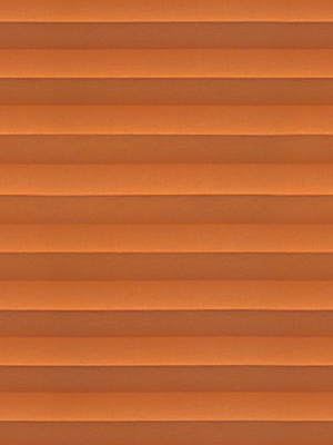 Preview Coolaris Light B1 2.502.67 4