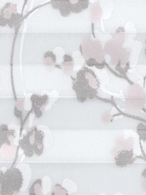 Preview Fiorella 2.146.57 5