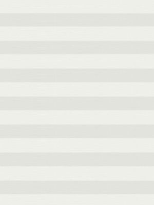 Preview Plissee Structure Cane 2.051.47 4
