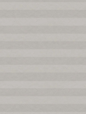 Preview Structure Light 1.196.46 4