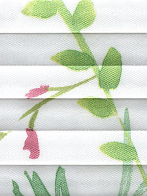 Preview Lichtnelke 2.346.47 5