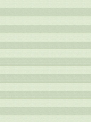 Preview Lina 2.504.07 4