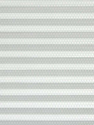 Preview Canelli 3262 0