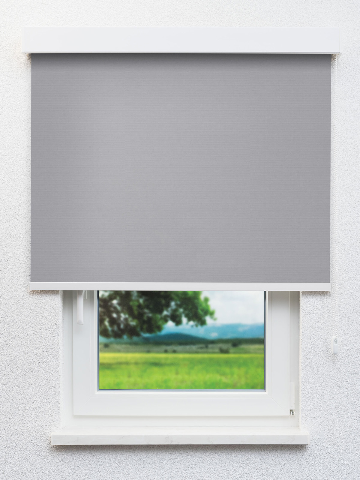 Detailansicht Alcudia