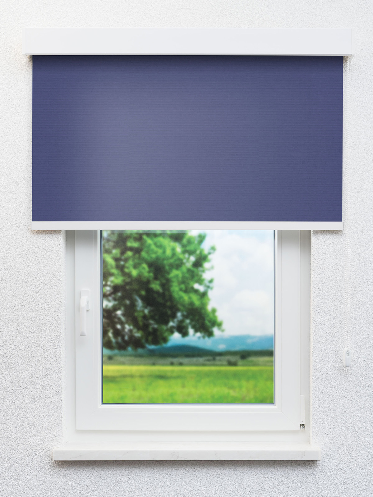 Detailansicht Alcudia