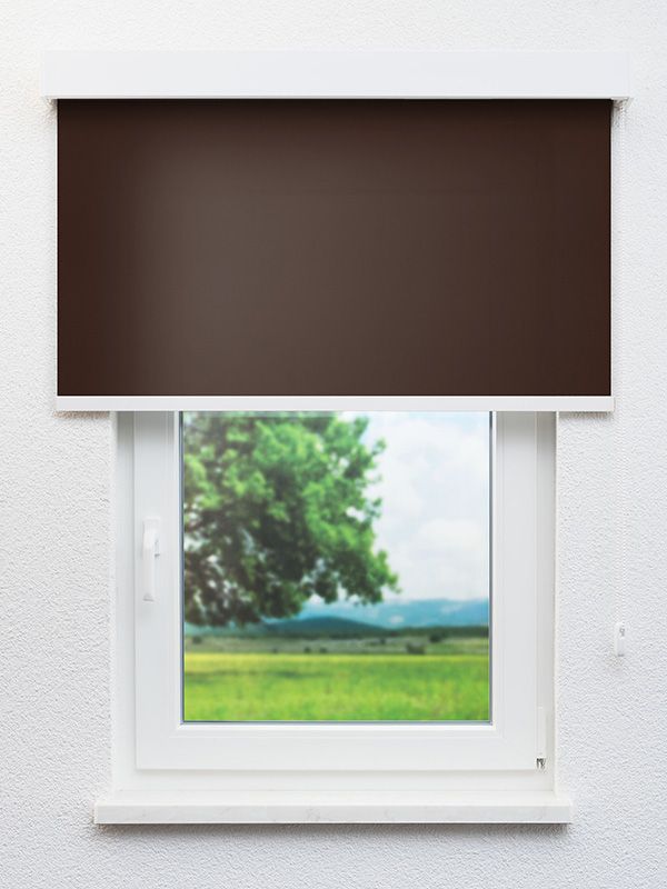 Detailansicht Oviedo 7003