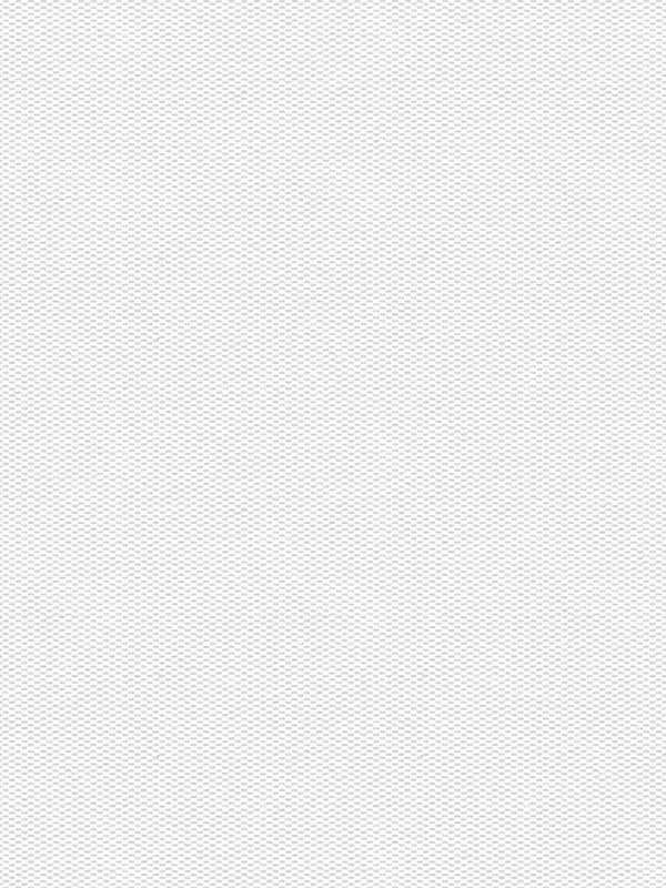 Detailansicht Truttikon 20372