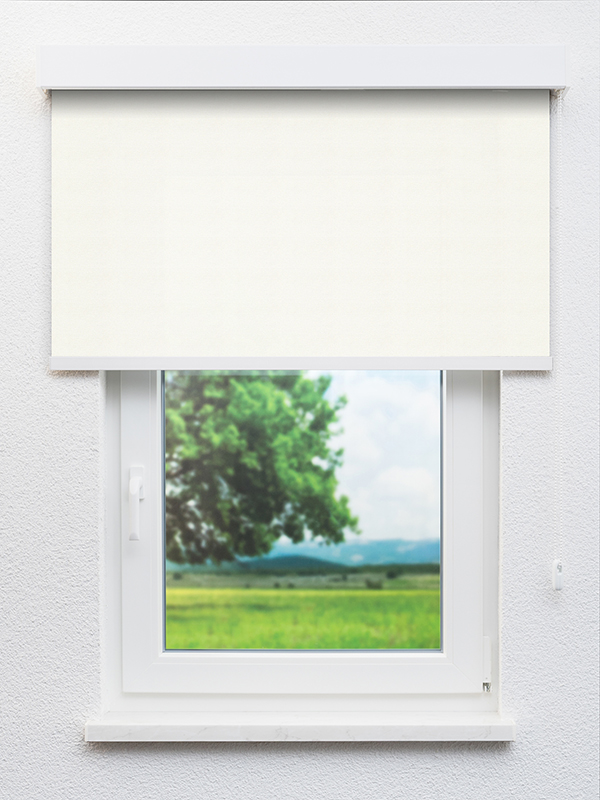 Detailansicht Prélez 20288