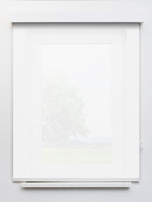 Detailansicht Roches 20326