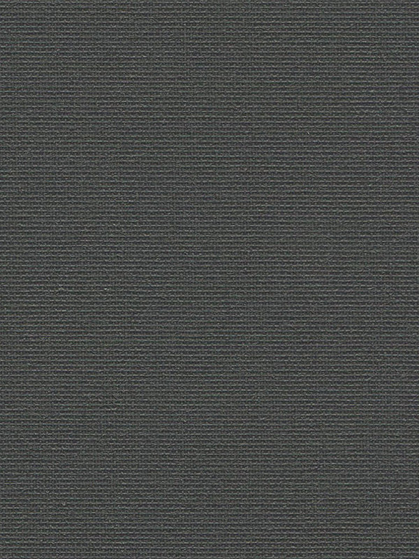 Detailansicht Leysin 20112