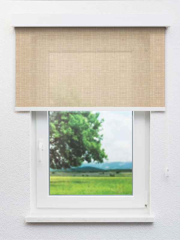 Detailansicht Prélez 20283