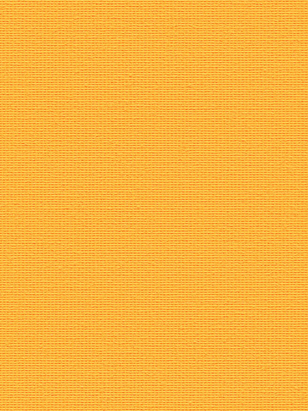 Detailansicht Leysin 20122