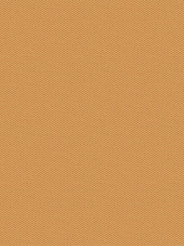 Detailansicht Truttikon 20371