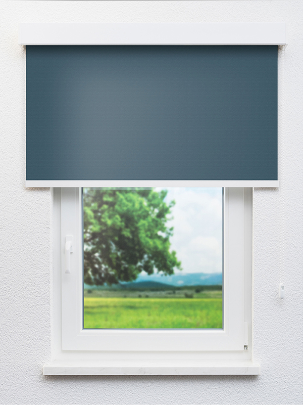 Detailansicht Moiry 20167