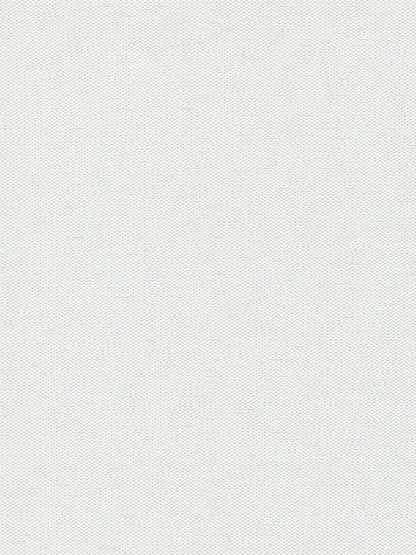 Detailansicht Mesocco 20241