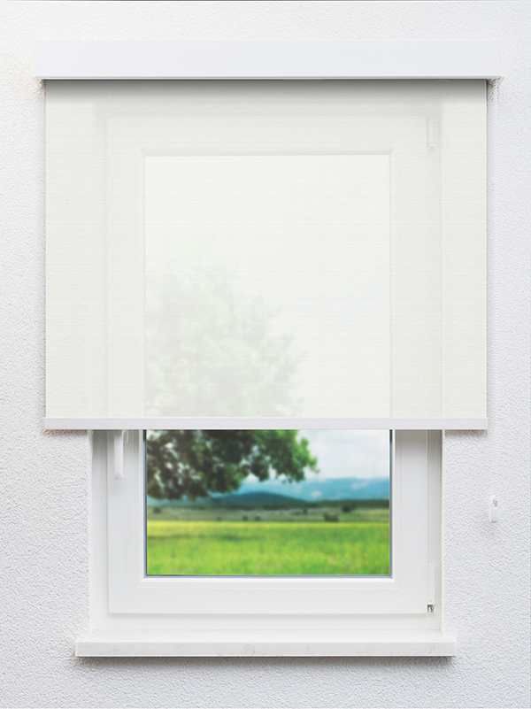 Detailansicht Köniz 20099