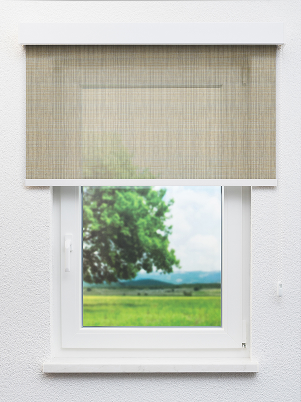 Detailansicht Galmiz 20070