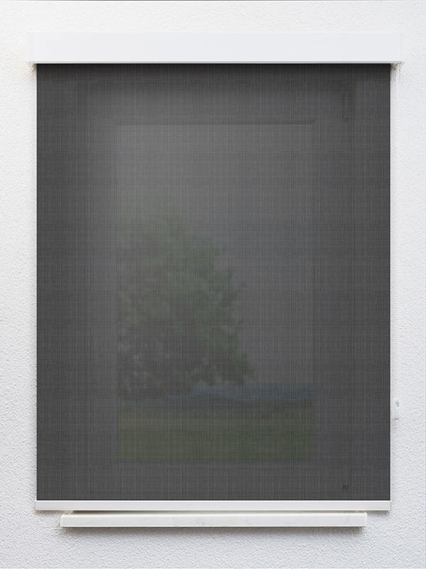 Detailansicht Gresso 20080