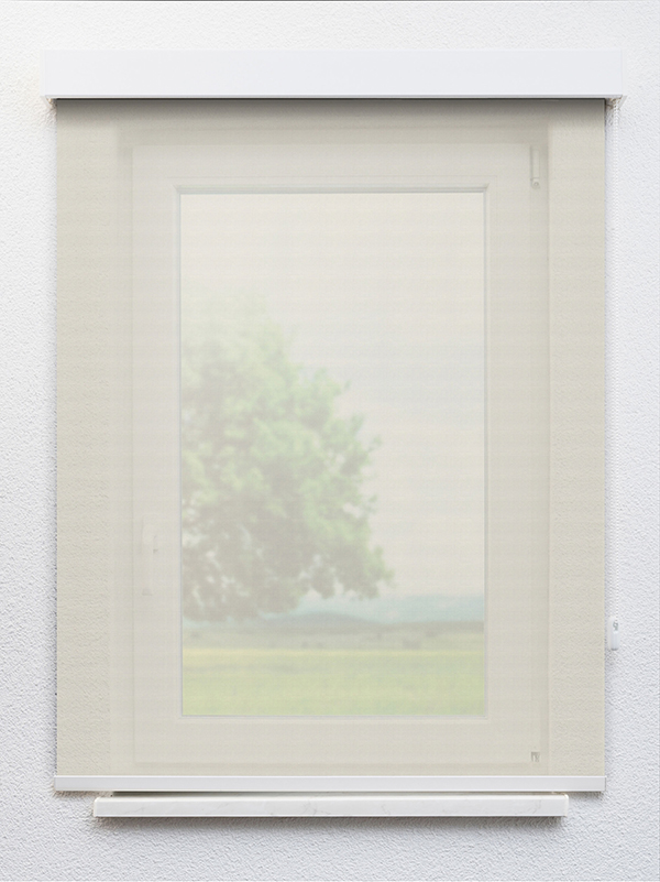 Detailansicht Mirchel 20255