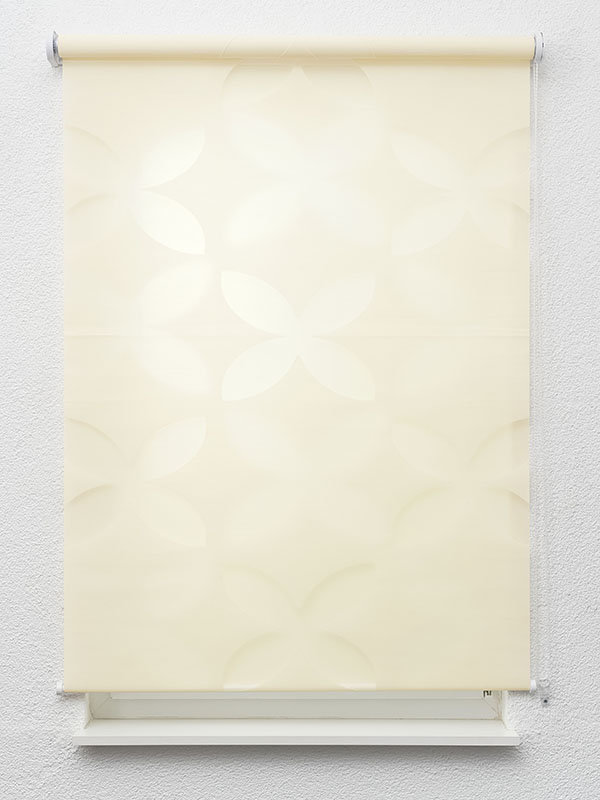 Detailansicht Chalatenango 6616