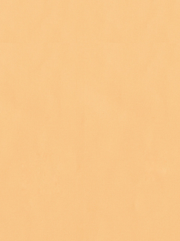 Detailansicht Valldemossa 4374