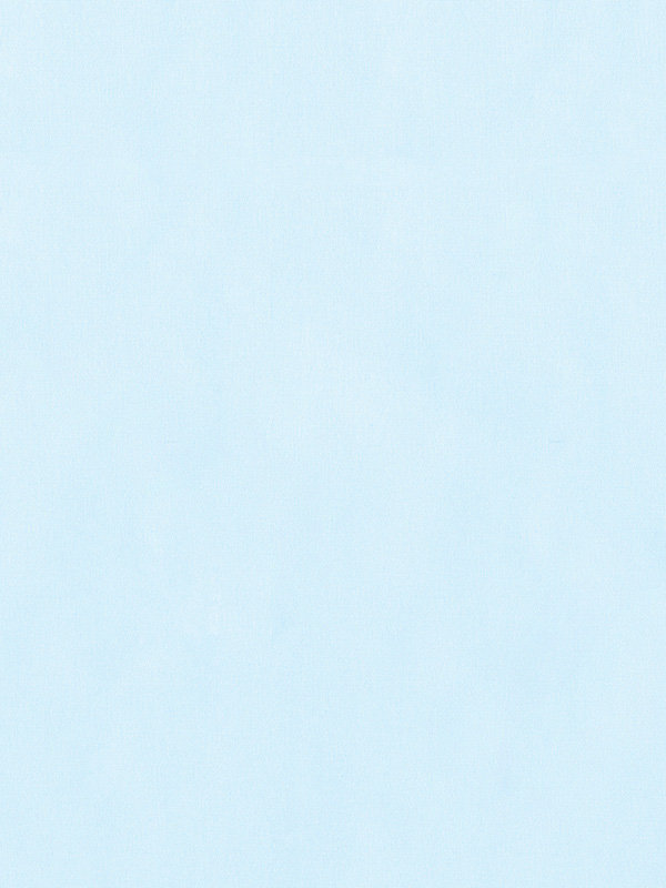 Detailansicht Valldemossa 6402