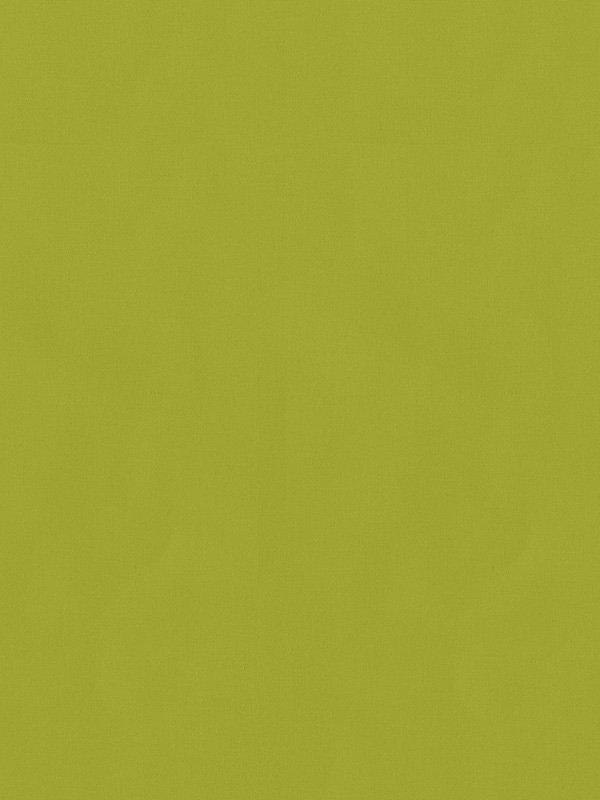 Detailansicht Valldemossa 6403