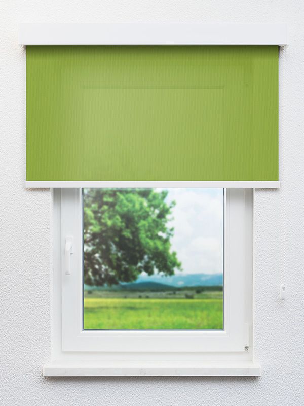 Detailansicht Tenerife 5344