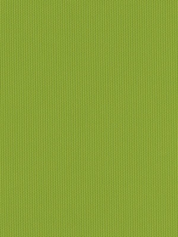 Detailansicht Tenerife 5344