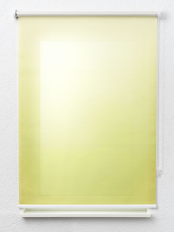 Detailansicht Jinotega 6011