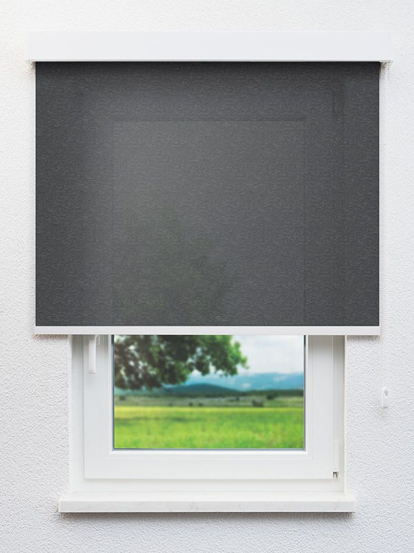 Detailansicht Artemisa 7871