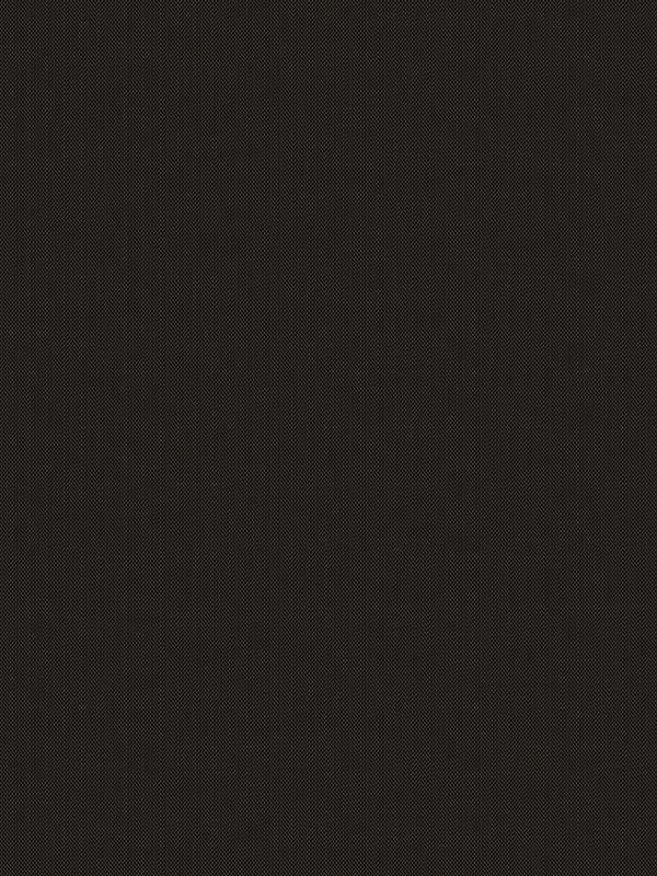 Detailansicht San Luis 6261