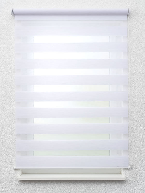 Detailansicht Choloma 6633