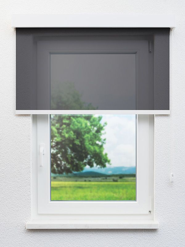 Detailansicht La Lunea 6094