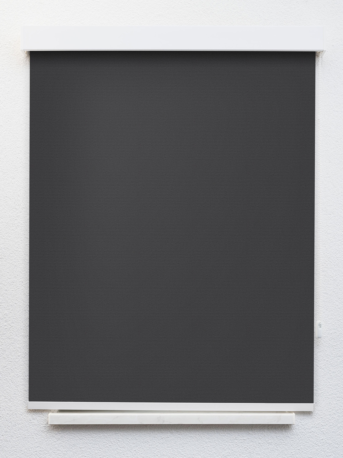 Detailansicht Pals 8152