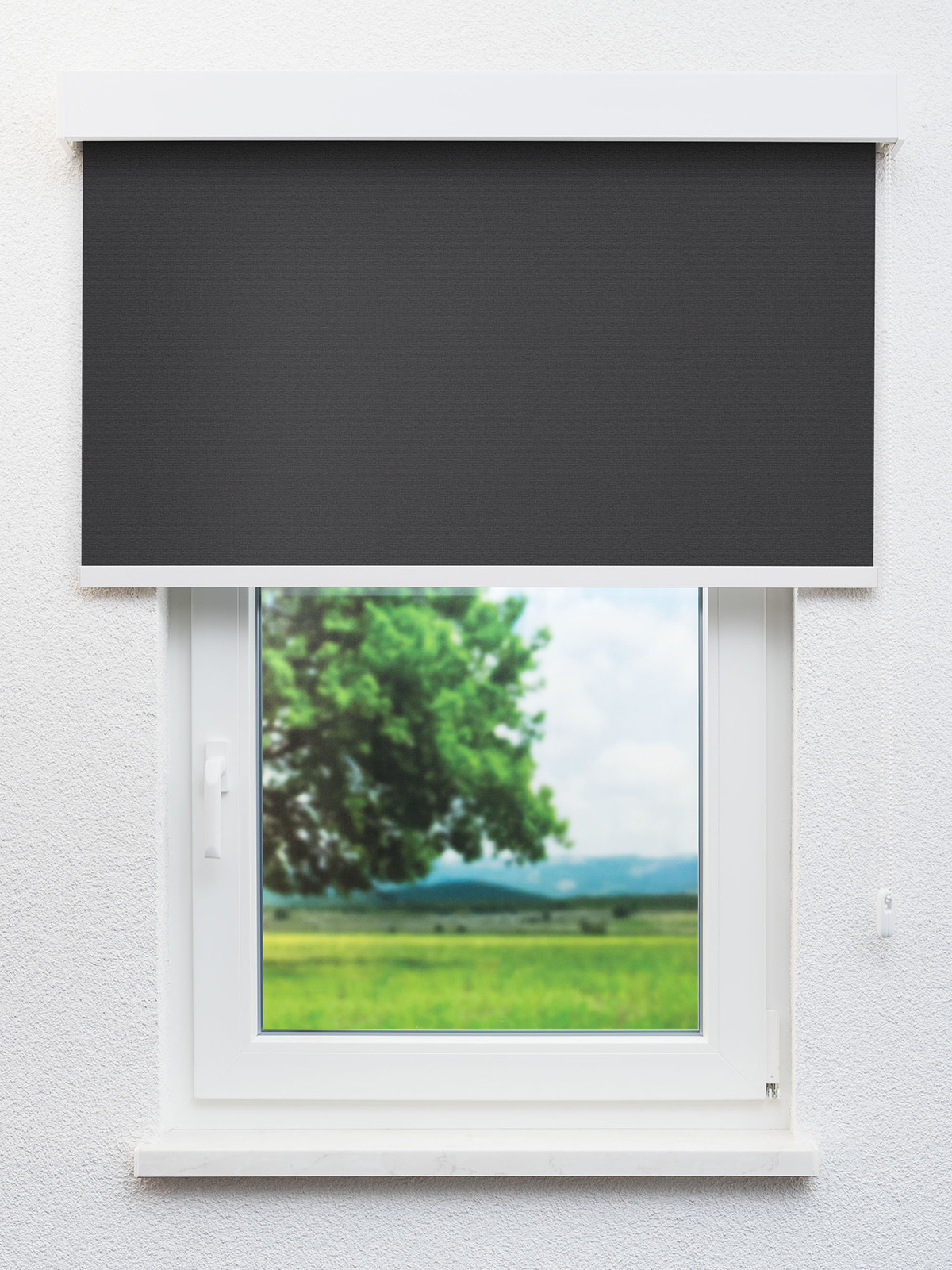 Detailansicht Pals 8152