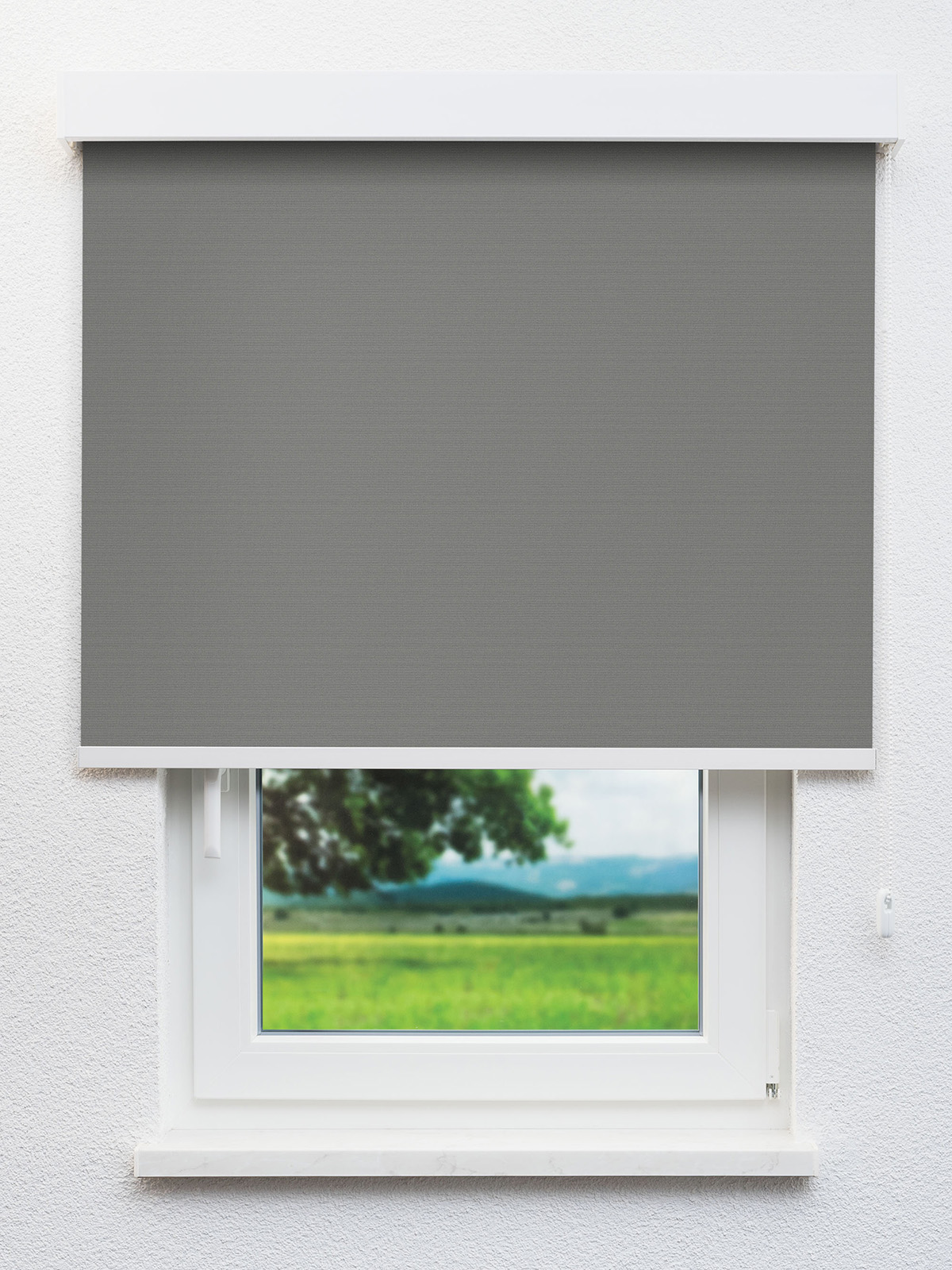 Detailansicht Pals 8153