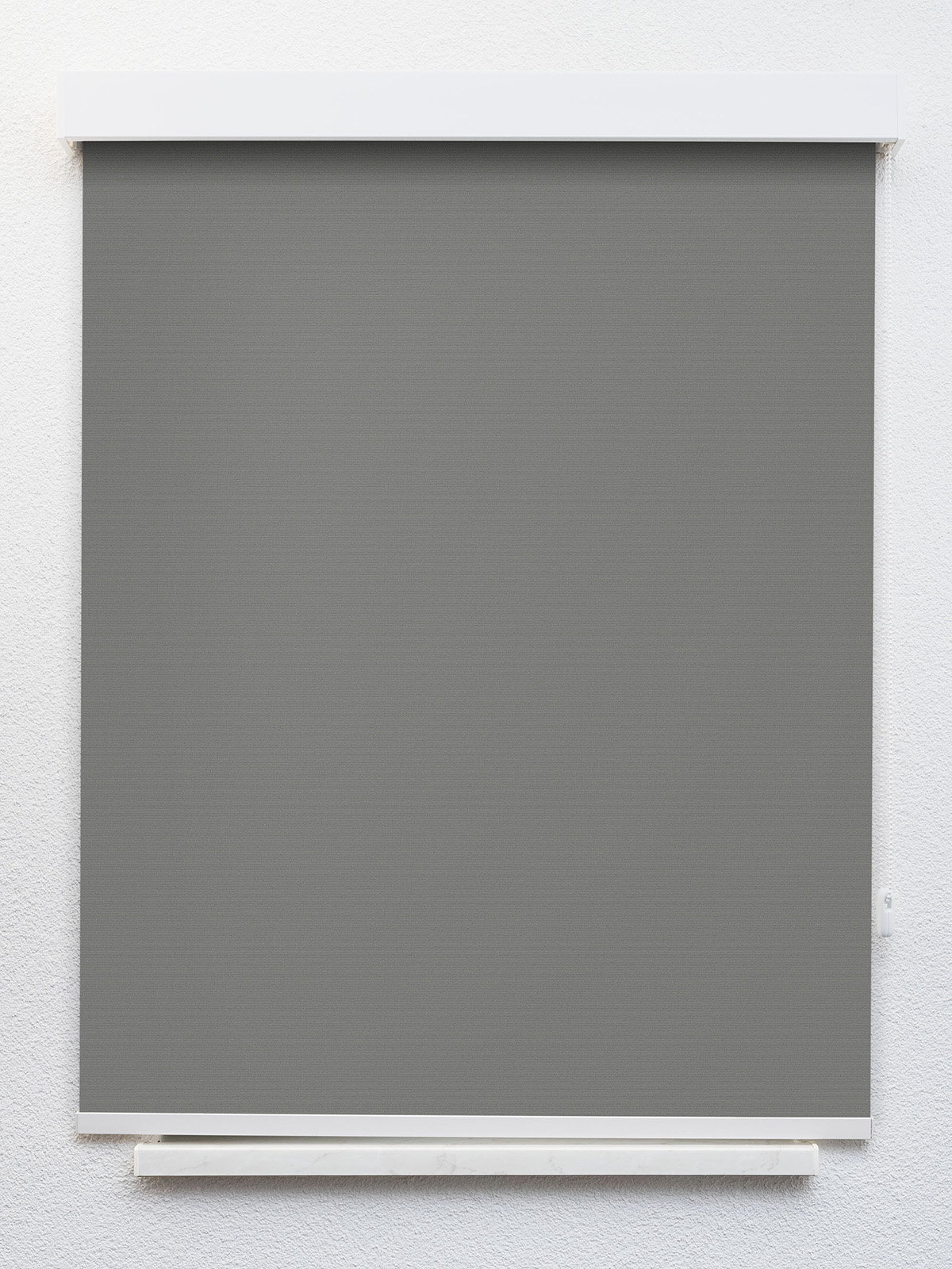 Detailansicht Pals 8153