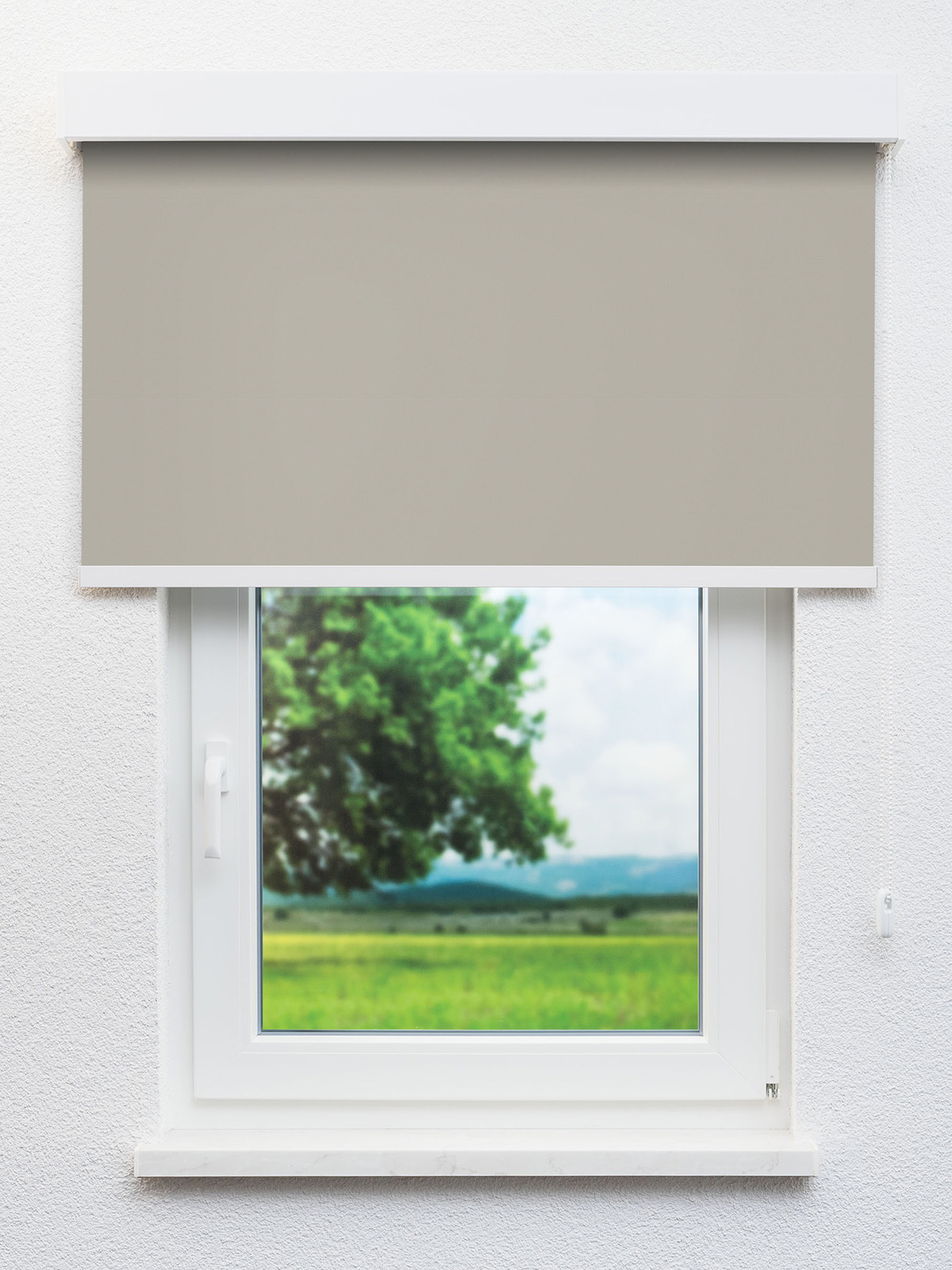 Detailansicht Pals 8154